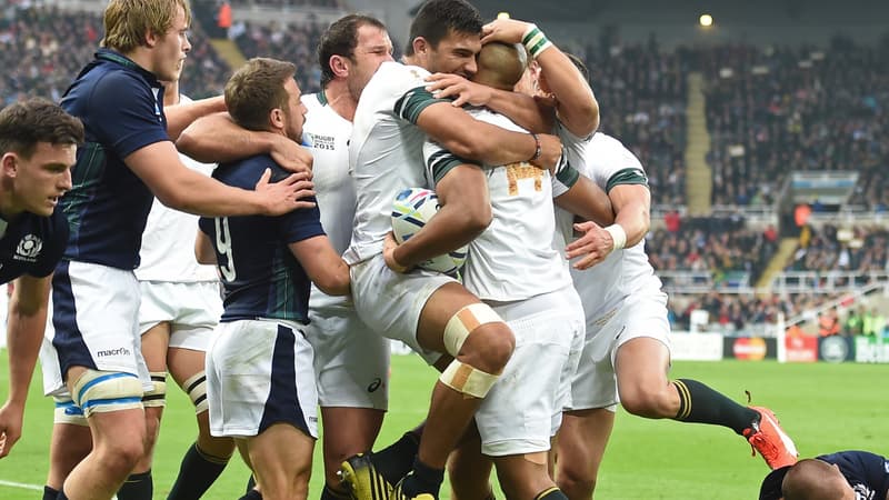 la joie des Sud-Africains après l'essai de JP Pietersen