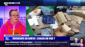 Ludovic Franceschet, éboueur: "Je ne peux pas tout le temps faire grève, car je perds 75 à 80 euros par jour"