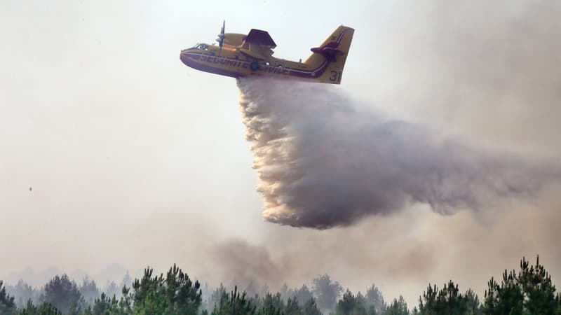 Météo des forêts: quels sont les risques d'incendies près de chez vous?