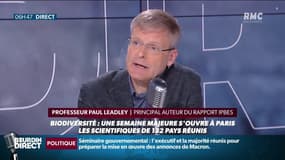 Biodiversité: "Il y a plus d'espèces qui sont menacées d'extinction que d'espèces qui se portent bien" d’après le Professeur Paul Leadley