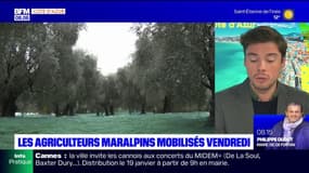 Alpes-Maritimes: les agriculteurs mobilisés ce vendredi