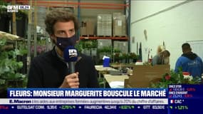 La France qui résiste : Monsieur Marguerite bouscule le marché des fleurs, par Justine Vassogne - 25/11