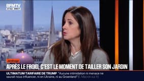 Jardinage: l'hiver, la bonne saison pour tailler ses arbres 