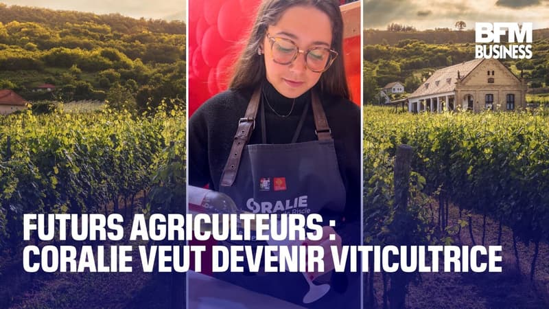 Futurs agriculteurs : Coralie, 23 ans, veut devenir viticultrice