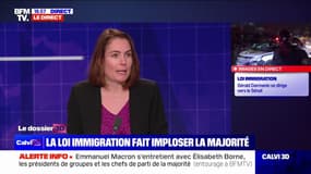 Projet de loi immigration: "On a une expression de certains ministres au gouvernement et de certains collègues députés, je les respecte", affirme Olga Givernet (Renaissance)