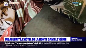 Paris: plusieurs dizaines de familles ont été transférées dans un hôtel social du 16e insalubre