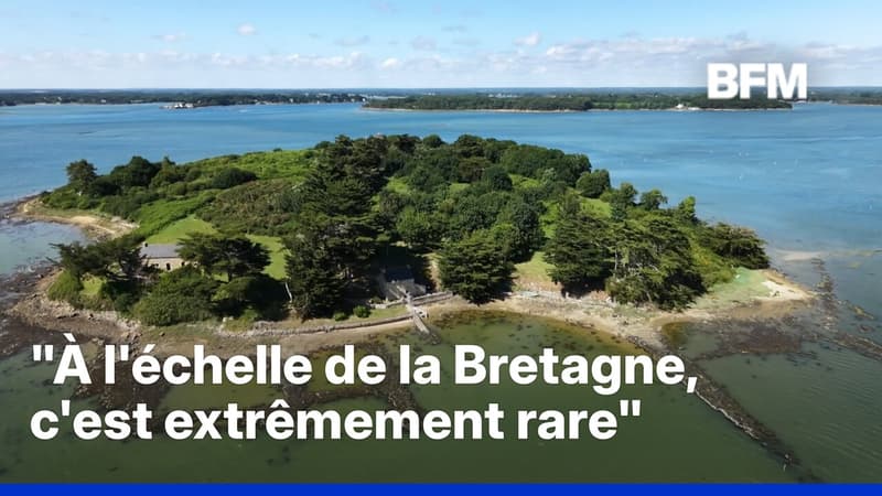 Six hectares, cinq plages, deux maisons...une île en Bretagne est à vendre pour 2,5 millions d'euros