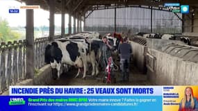 Le journal de 18h du mercredi 5 novembre 2025