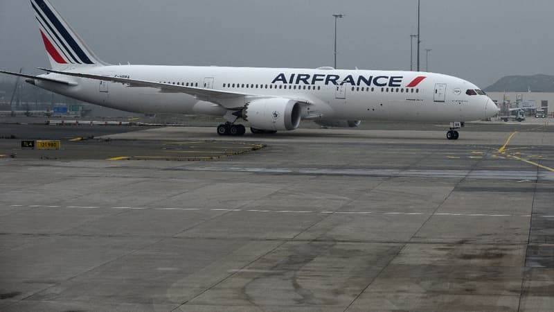 Air France commercialise des billets "rapatriement" à un tarif spécifique (image d'illustration) 