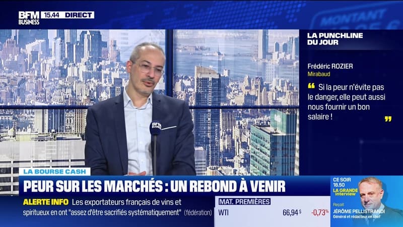 La bourse cash : « Si la peur n'évite pas le danger, elle peut aussi nous fournir un bon salaire ! » - 13/03