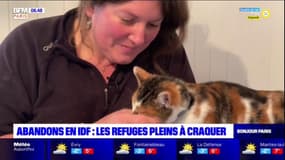 Île-de-France: les refuges pour animaux pleins à craquer