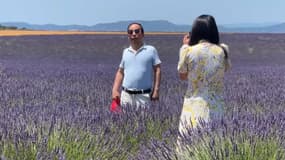 Des touristes se prenant en photo dans les champs de lavande sur le plateau de Valensole fin juin 2025