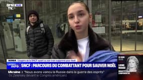 Le parcours du combattant de plusieurs voyageurs au départ de la gare de Strasbourg pour sauver leur Noël