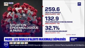 Paris: les seuils d'alerte maximale dépassés