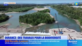 Durance: des travaux pour conserver la biodiversité 