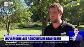 Louve retrouvée morte devant une mairie des Hautes-Alpes: les agriculteurs réagissent