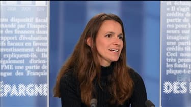 Aurélie Filippetti, ministre de la Culture, sur BFMTV le 8 mai 2013.