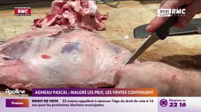Agneau pascal: malgré la hausse des prix, les ventes continuent  