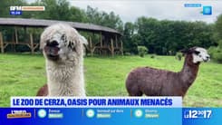 Pont de l'Ascension: 15.000 à 20.000 visiteurs attendus au zoo de Cerza