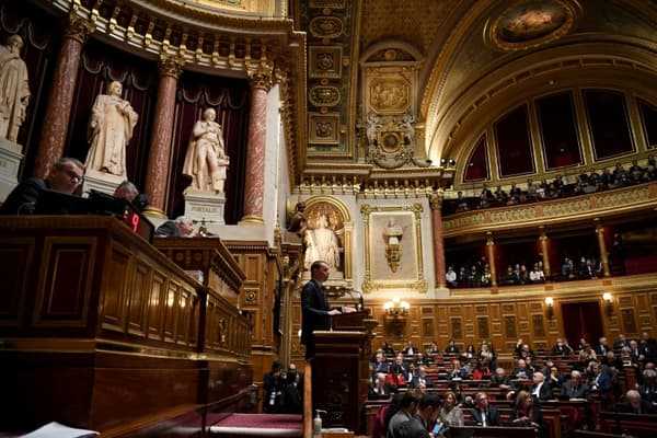 Labor Minister Olivier Dussopt addresses senators in the Senate chamber in Paris on March 2, 2023.