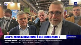 Hautes-Alpes: comment réconcilier les éleveurs et les défenseurs du loup?