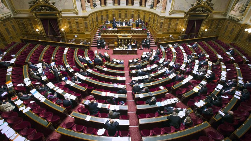 En incluant toutes les dépenses, le budget de fonctionnement du Sénat est évalué à 321 millions d'euros en 2014.
