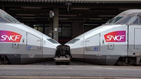 La passagère avait été verbalisée à bord de la ligne TGV Lyon-Paris