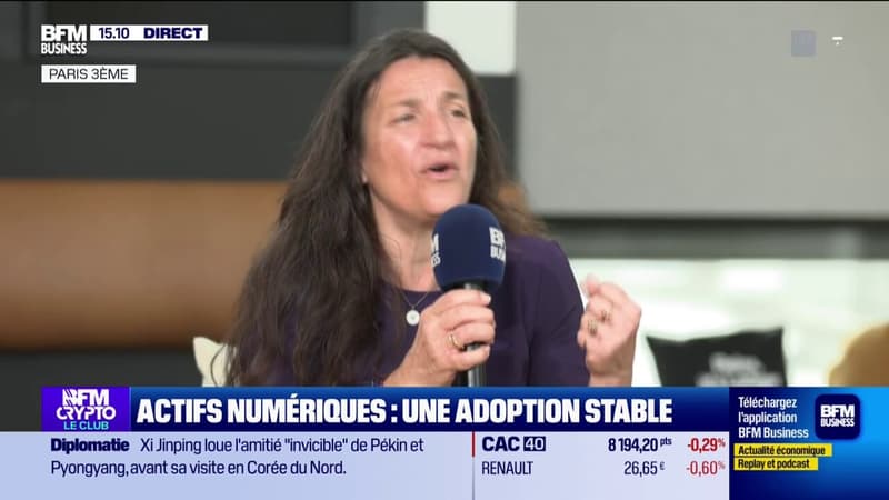 Actif numériques : une adoption stable