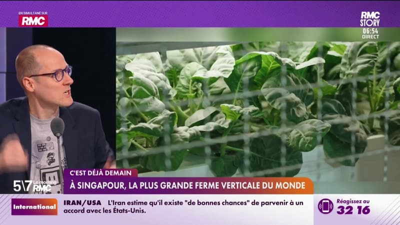 C'est déjà demain - À Singapour, la plus grande ferme verticale du monde