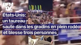 États-Unis: un taureau blesse trois personnes après s'être échappé d'une arène de rodéo