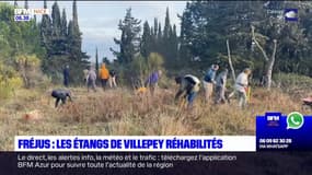 Fréjus: les étangs de Villepey réhabilités par des bénévoles