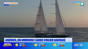Un tout premier voilier-cargo, le plus grand au monde, mis à l'eau par la société havraise Towt, 