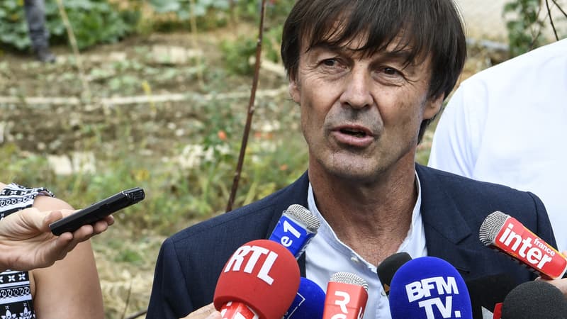 Le ministre de la Transition écologique et solidaire Nicolas Hulot, en déplacement à Lyon le 26 juin 2017.