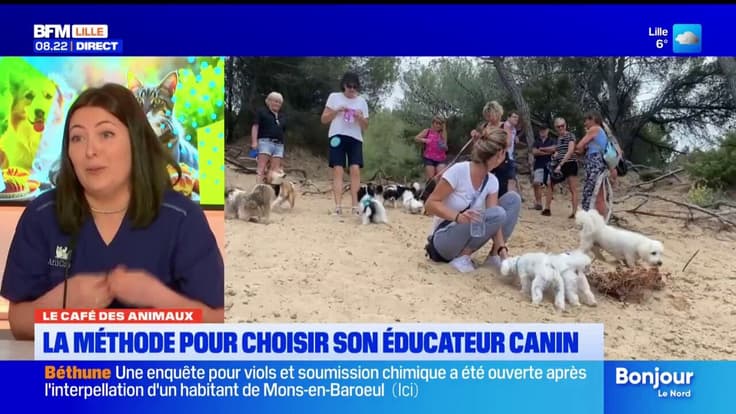Le Café des Animaux : la méthode pour choisir son éducateur canin