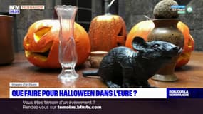 Eure: des activités pour petits et grands à l'approche d'Halloween