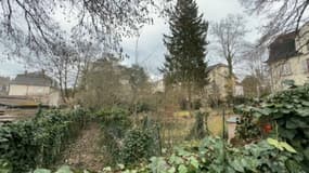 Le quartier du Rebberg, à Mulhouse, est l'un des plus huppés du pays. 