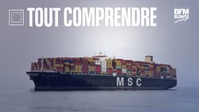 Un porte-conteneurs MSC (Photo d'illustration)