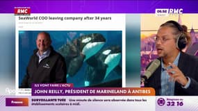 "Il est urgent que vous preniez vos responsabilités": John Reilly, président du Marineland d'Antibes, demande au gouvernement de trouver une solution pour sauver ses derniers dauphins et orques