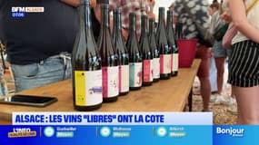 Mittelbergheim: les vins “libres” ont la cote
