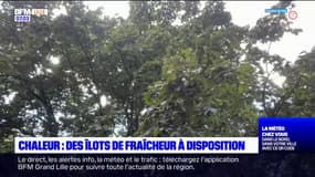 Nord: des îlots de fraîcheur à disposition 