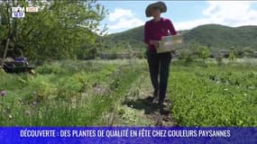 DECOUVERTE : des plantes de qualité en fête chez couleurs paysannes