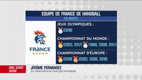 Jérôme Fernandez : "Le carton rouge est totalement immérité" 