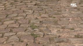 Paris - Roubaix : "C'est là qu'on peut perdre la course" avertit le directeur de course