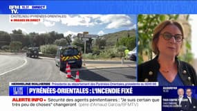 "Il faut rester très vigilent (…), le feu peut reprendre à tout moment", déclare la présidente du SDIS 66, après l'incendie de Castelnou
