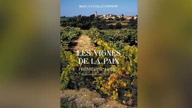« Les vignes de la paix »  un roman de Marie Cavaillé-Fernow