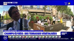 Champs-Élysées: des terrasses végétalisées