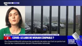 Origine du Covid-19: pour la Dr Sénéquier, "il faut explorer [la piste du laboratoire] mais aussi faire attention de ne pas occulter les autres hypothèses"