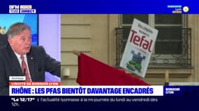 "Faire marche arrière concernant les PFAS": Cyrille Isaac-Sibille revient sur le vote du texte sur les polluants éternels
