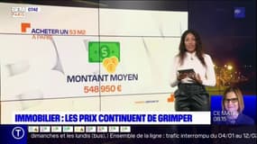 Immobilier à Paris et en Île-de-France : les prix résistent à la crise 