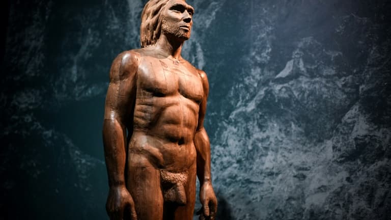 Une reconstitution de l'homme de Néandertal lors de  l'exposition consacacrée à Néandertal au Musée de l'Homme à Paris le 26 mars 2018 (photo d'illustration)